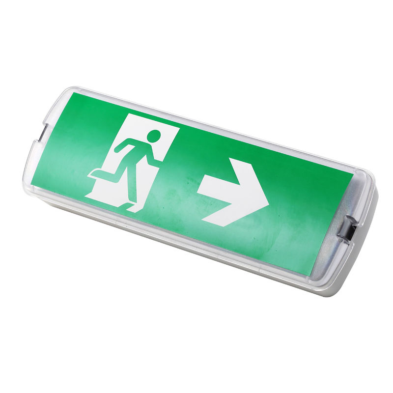 Kleine grootte back-up LED oplaadbaar noodlicht met batterij back-up ABS behuizing IP20 L116M-A