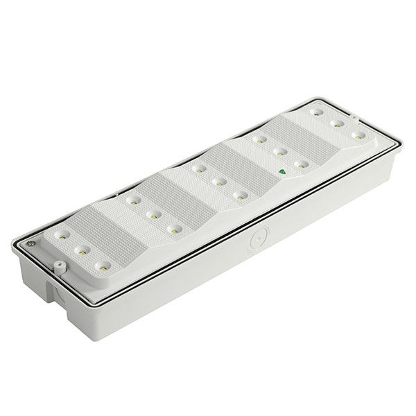 110V 220V SMD 2835 Witte LED Opbouw Waterdicht Noodverlichting PC Diffuser IP65 EL015EM
