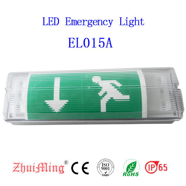 Gebouwd waterdicht noodparade licht wandoppervlak LED natte locatie buiten IP65 EL015AMN