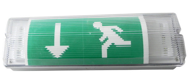Wandmontage Waterdichte Noodverlichtingsarmatuur LED Natte Locatie Buiten IP65 L102M