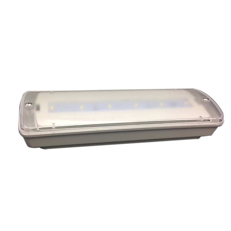 Waterdicht Noodverlichting Klein Formaat LED Ni Cd Batterij 3 Uur Brandduur L116N-D