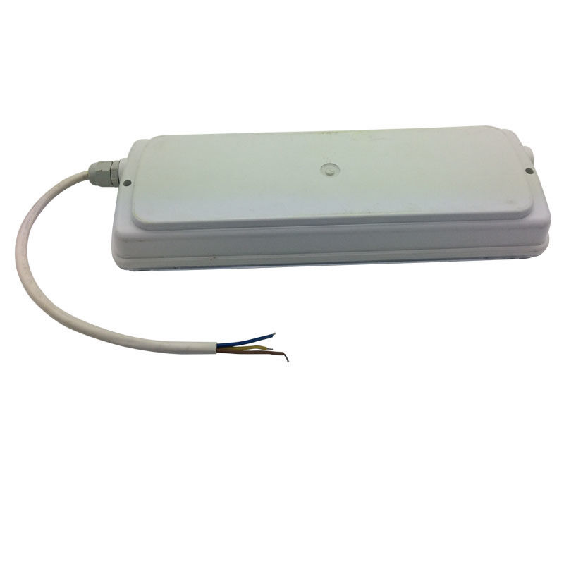 Waterdichte noodverlichting voor scheidingswanden, oplaadbaar, IP65, kunststof, Ni-Cd met batterijback-up 3 uur L116N-E