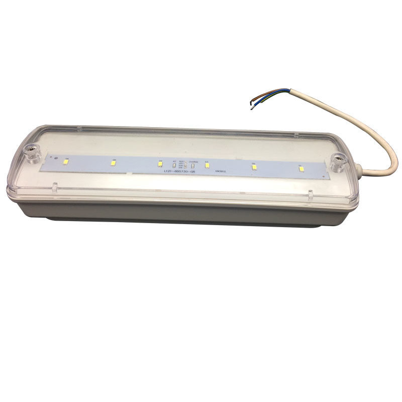 Waterdichte noodverlichting voor scheidingswanden, oplaadbaar, IP65, kunststof, Ni-Cd met batterijback-up 3 uur L116N-E