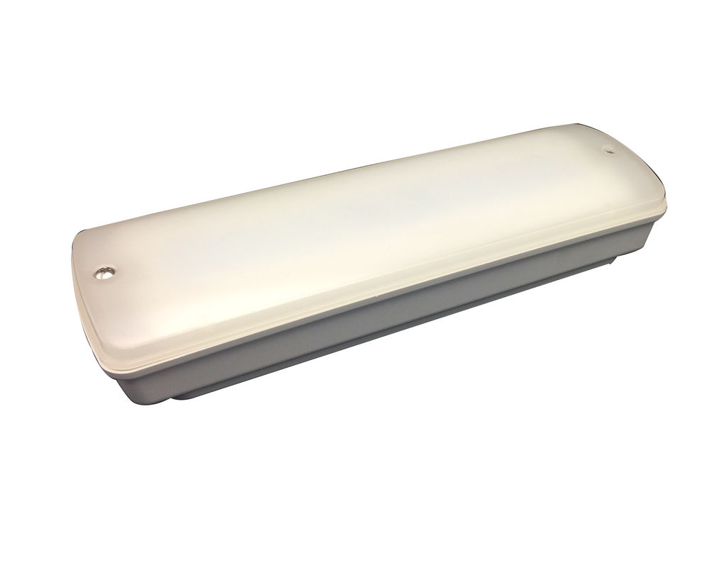 Industrieel klein waterdicht IP65 noodlicht natte locatie buiten 3 uur L116N-D