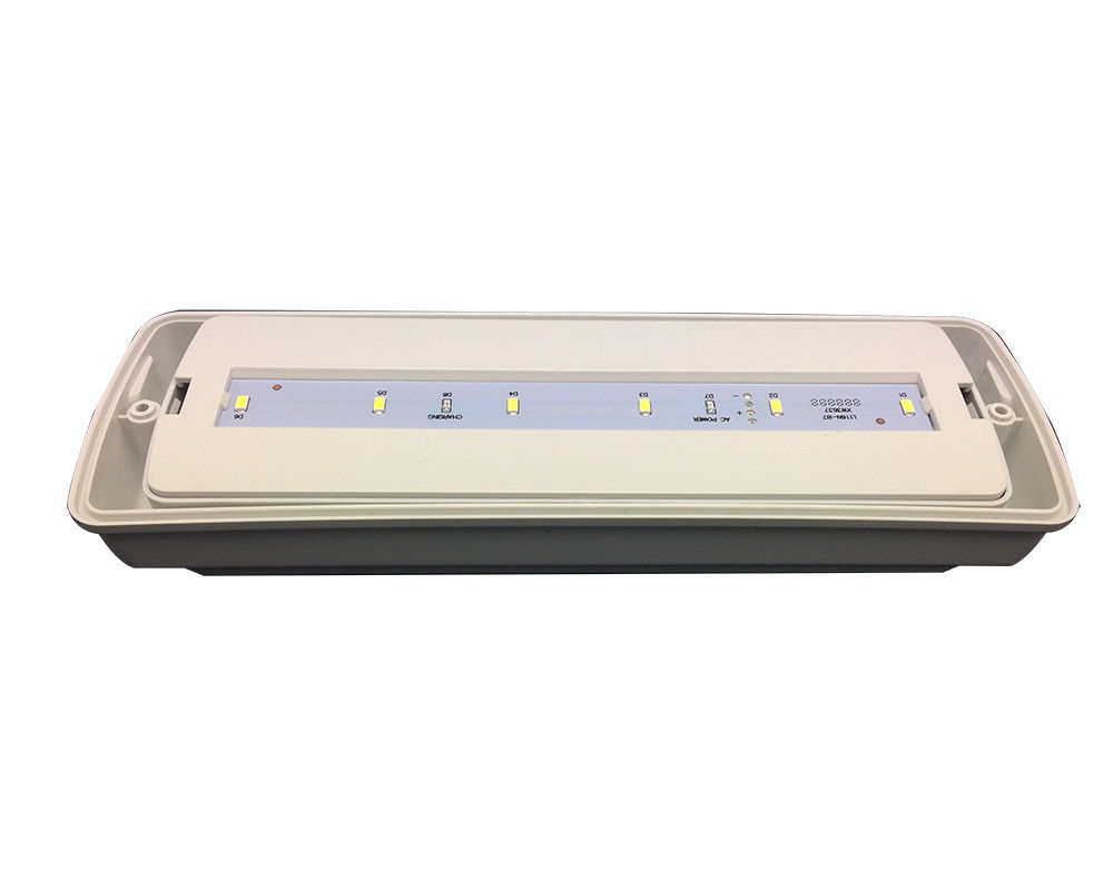 Industrieel klein waterdicht IP65 noodlicht natte locatie buiten 3 uur L116N-D