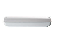 CE-standaard Niet onderhoudend waterdicht noodlicht IP65 natte locatie Ni-Cd-accu L121N