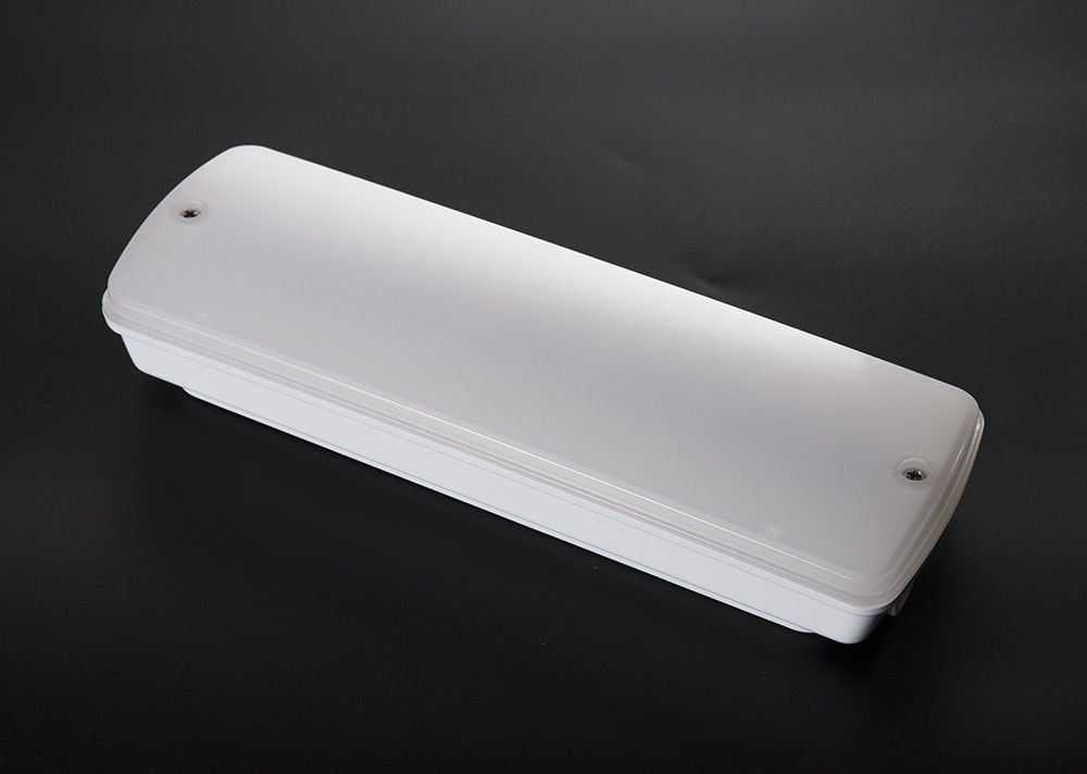 CE-standaard Niet onderhoudend waterdicht noodlicht IP65 natte locatie Ni-Cd-accu L121N