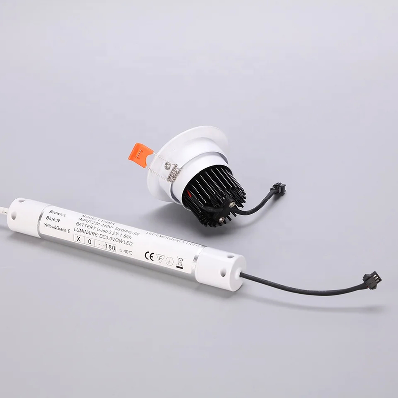 10°C tot 55°C Plafond noodlicht met indicator Groen wisselstroom en Ni-CD batterij 3.6V/0.6Ah