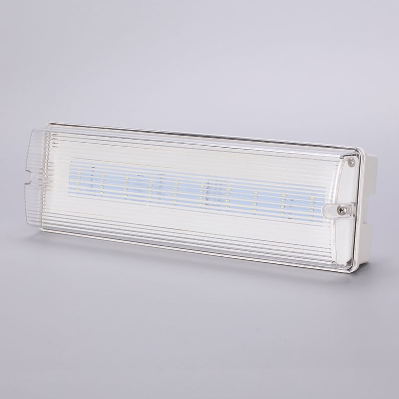 Waterdicht LED Noodverlichting 3H Ni Cd Batterij Back-up 3.6V 1.0Ah 5stuks SMD 5730 IP65 6500K