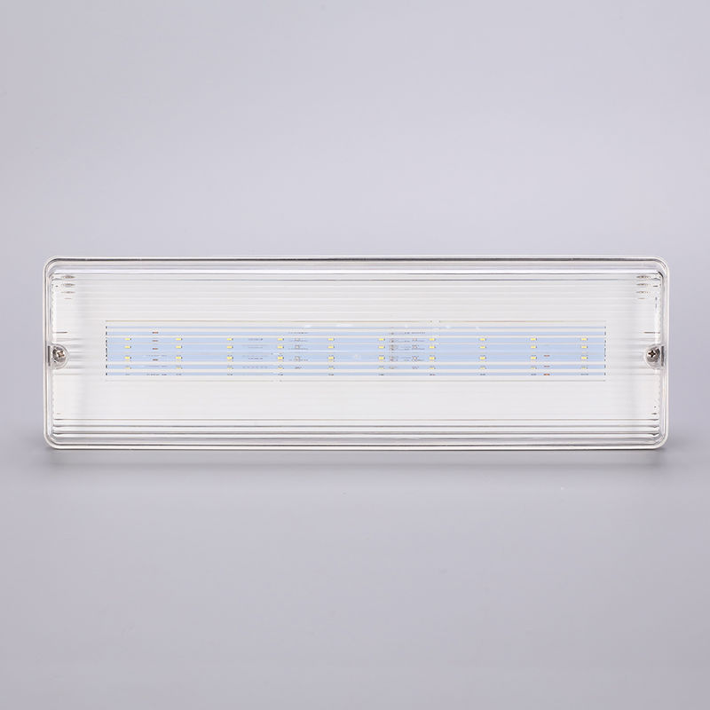 Waterdicht LED Noodverlichting 3H Ni Cd Batterij Back-up 3.6V 1.0Ah 5stuks SMD 5730 IP65 6500K