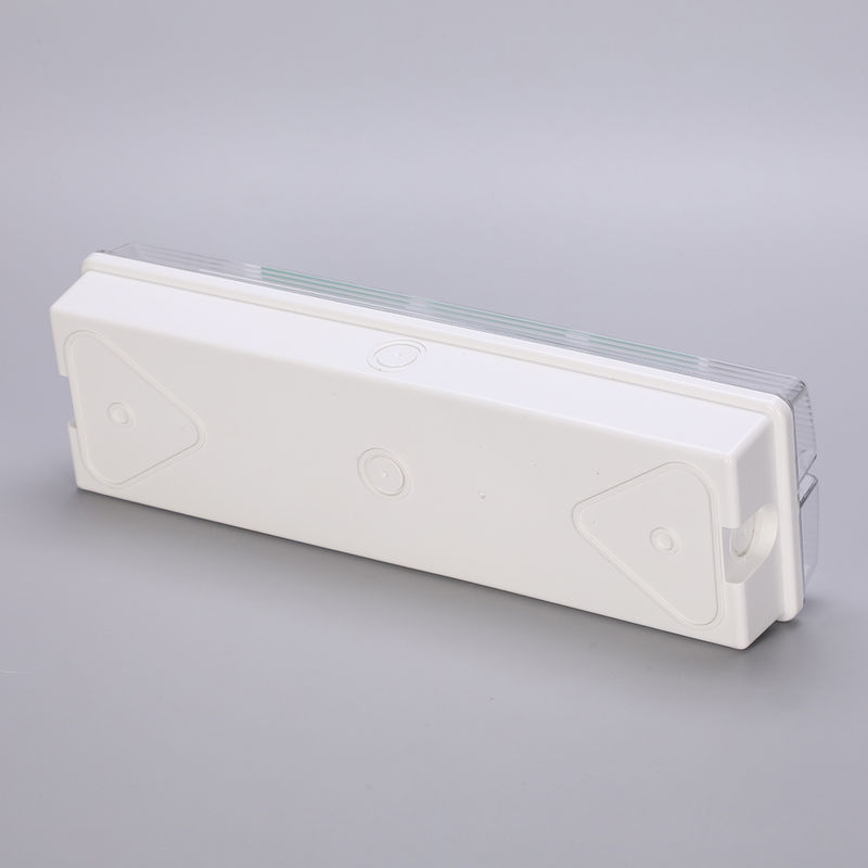 Waterdicht LED Noodverlichting 3H Ni Cd Batterij Back-up 3.6V 1.0Ah 5stuks SMD 5730 IP65 6500K