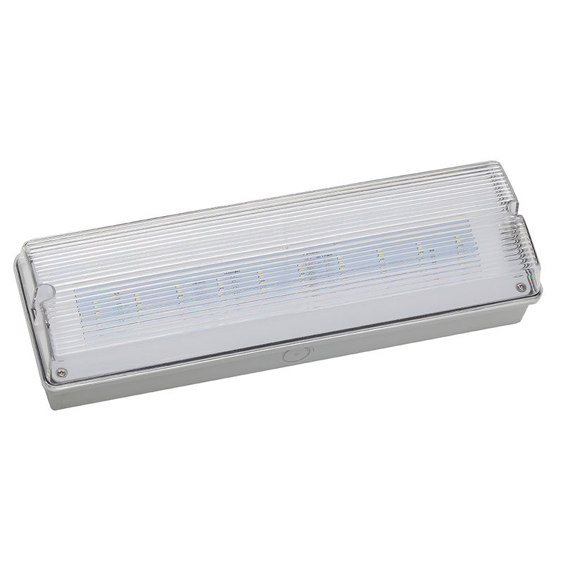 Waterdicht LED Noodverlichting 3H Ni Cd Batterij Back-up 3.6V 1.0Ah 5stuks SMD 5730 IP65 6500K