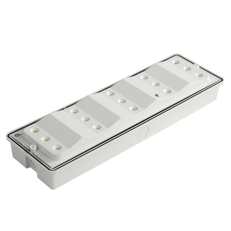 IP65 Waterdicht LED Noodverlichting 3W Natte Locatie Ni-Cd Batterij Back-up 15 stuks 2835 SMD 6500K