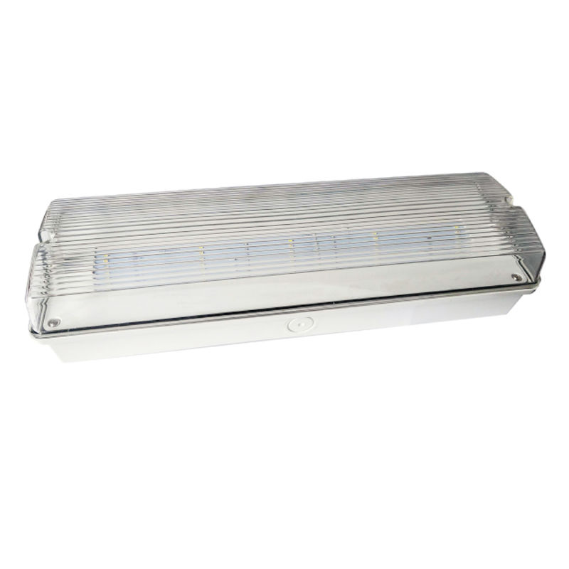 Lift LED weerbestendig noodlicht IP65 220V 240V 3H Backup Ni Cd Batterij verlichting