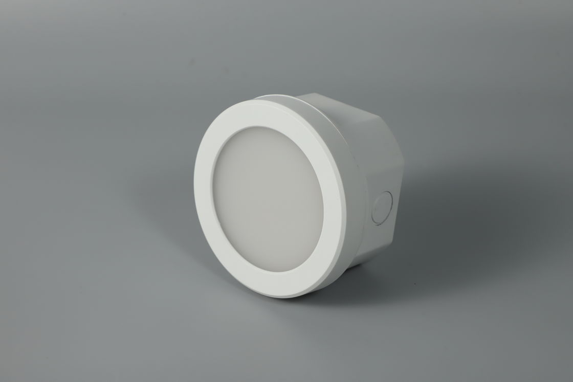 IP65 Oplaadbare 3W LED Noodverlichting Downlight 3 Jaar Garantie Ni-Cd Batterij L128MN-B