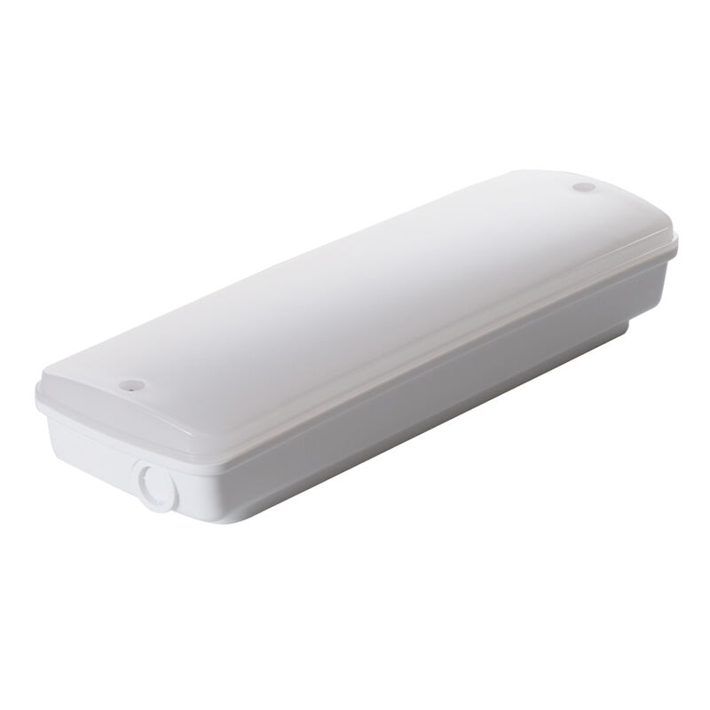 Industriële IP65 Waterdichte LED Noodverlichting Natte Locatie Buiten 3 Uur Back-up Ni-Cd