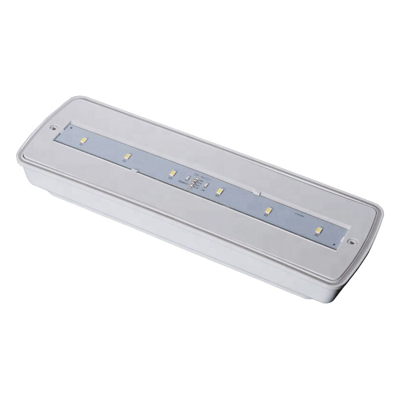 Industriële IP65 Waterdichte LED Noodverlichting Natte Locatie Buiten 3 Uur Back-up Ni-Cd
