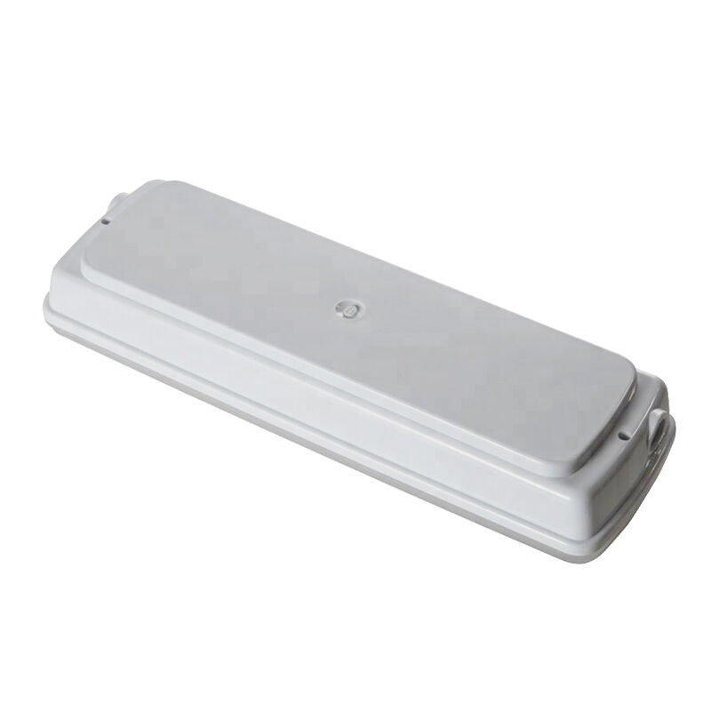 Industriële IP65 Waterdichte LED Noodverlichting Natte Locatie Buiten 3 Uur Back-up Ni-Cd