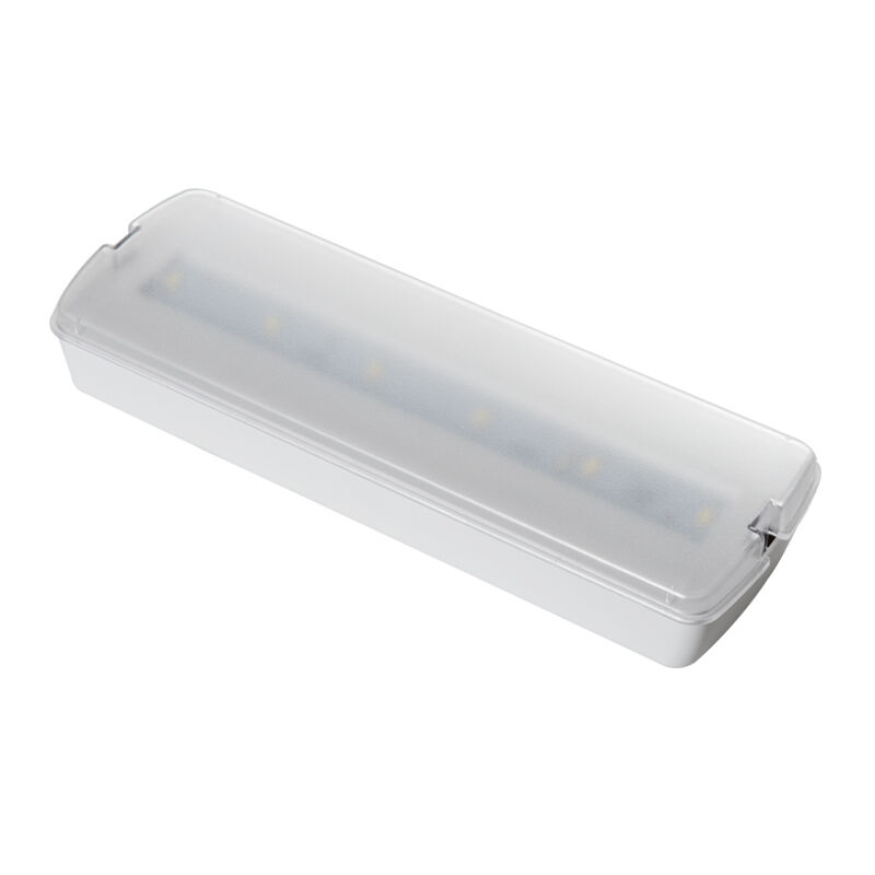 220V op het oppervlak gemonteerde LED-oplaadbare noodlamp met 3 uur back-up en plastic constructie