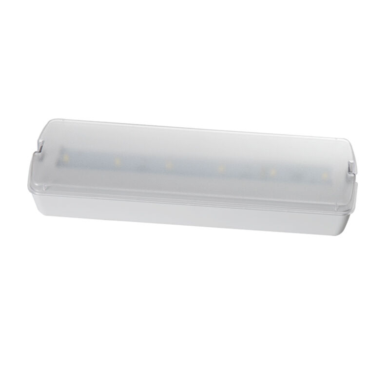 220V op het oppervlak gemonteerde LED-oplaadbare noodlamp met 3 uur back-up en plastic constructie