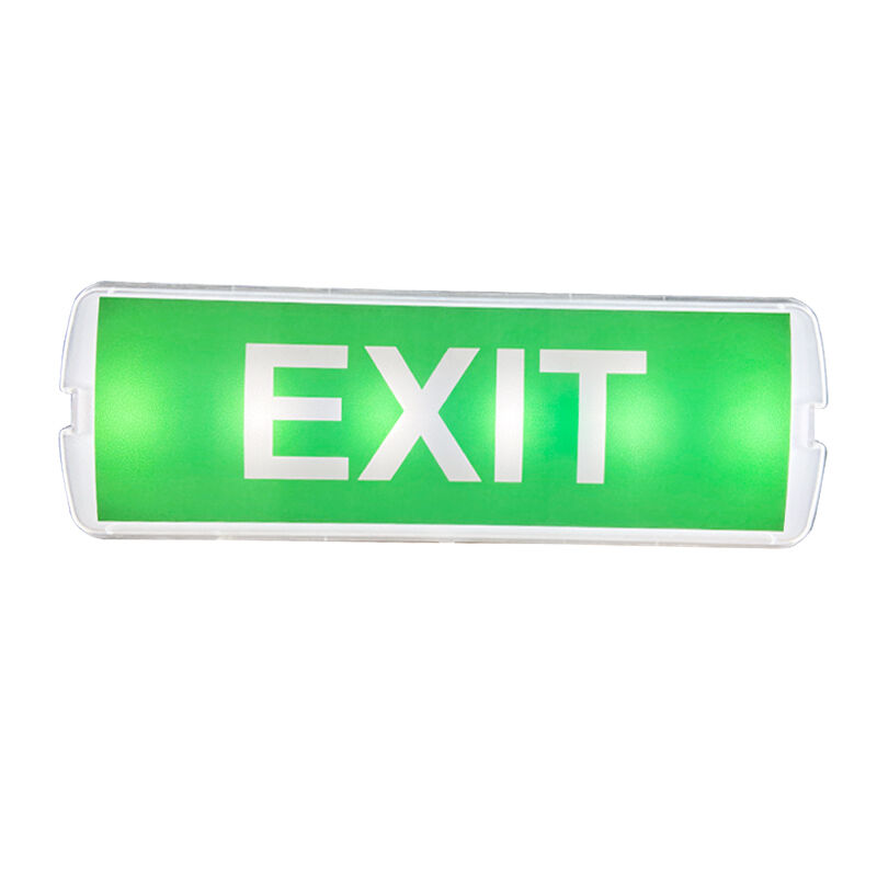 220V op het oppervlak gemonteerde LED-oplaadbare noodlamp met 3 uur back-up en plastic constructie