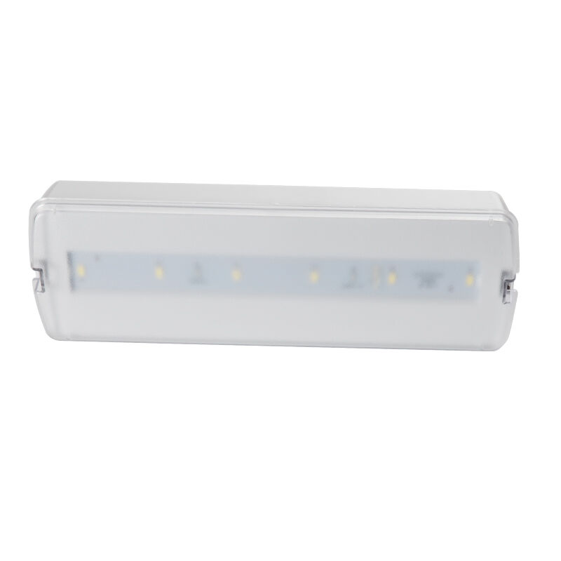 Permanente Plastic Batterij Back-up Nood Oplaadbare Wandmontage LED Lamp 3 Uur Back-up Ni-Cd IP20