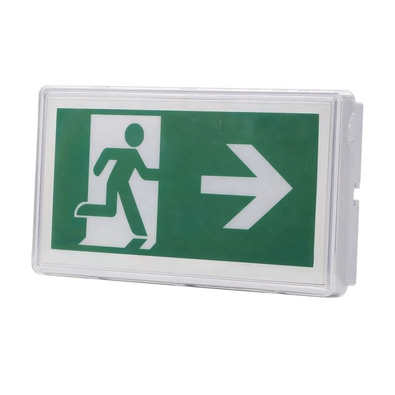 5W IP65 waterdicht noodlicht LED schot natte locatie 3 jaar garantie 25000 uur
