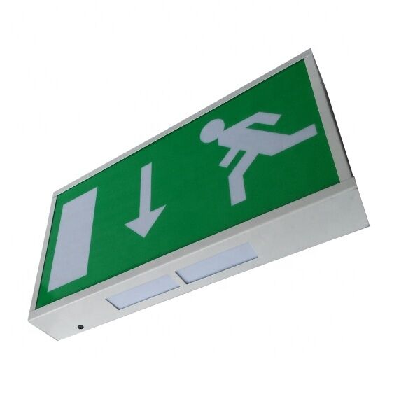 3W LED nooduitgangstekens met 3 jaar garantie en 180 minuten noodtijd oplaadbaar LED noodlicht