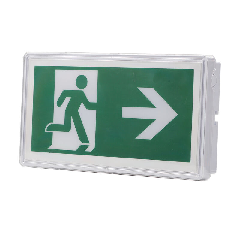 Nooduitgangbord Licht Plafond Inbouw Ni-Cd Batterij IP65 Nominale 5730 SMD LED