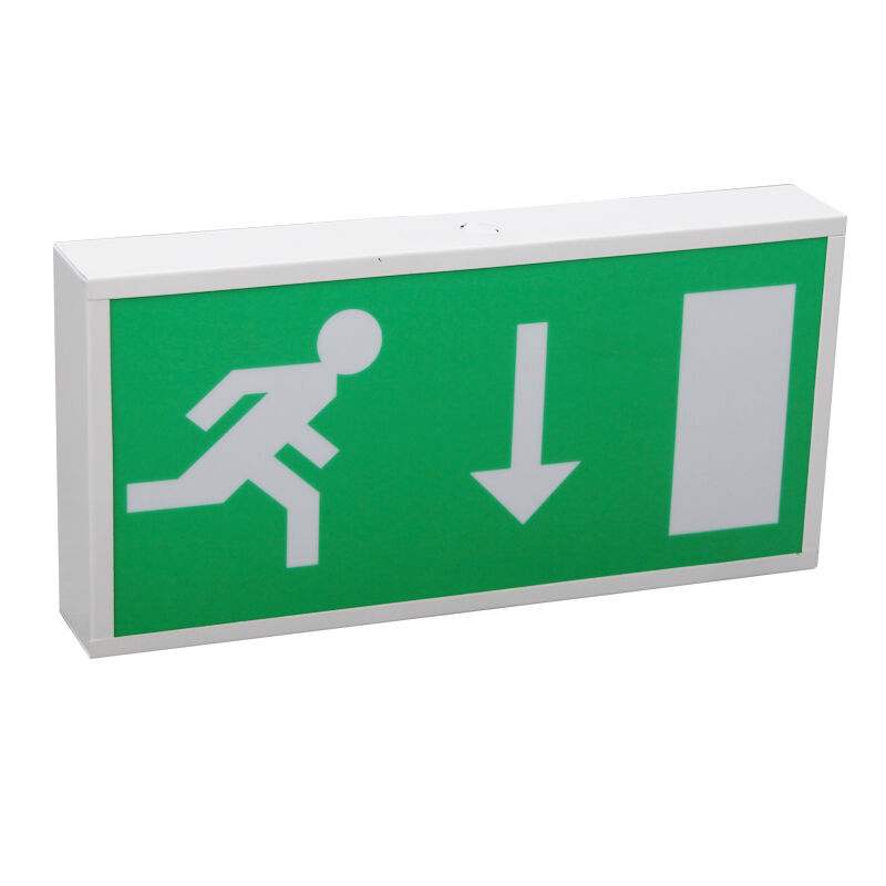 Pictogram Ni-Cd batterij back-up LED nooduitgang licht 5730 SMD 3 jaar garantie