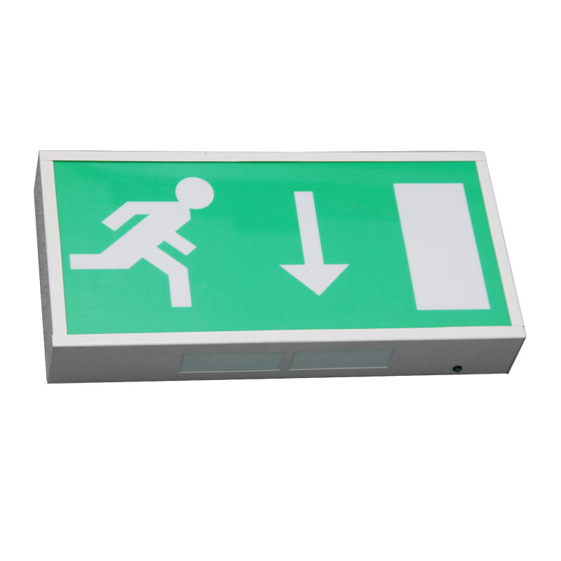 Pictogram Ni-Cd batterij back-up LED nooduitgang licht 5730 SMD 3 jaar garantie
