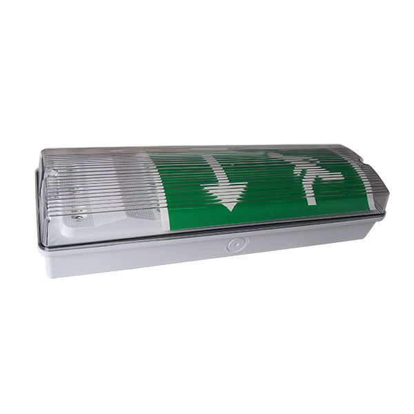 IP65 waterdicht buitenshuis LED noodlicht Ni-Cd batterij 3 uur Duur EL015EN