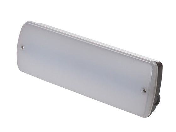 IP65 Waterdicht Noodverlichting Kleine Afmeting LED Natte Locatie Buiten 3 Jaar Garantie L121N
