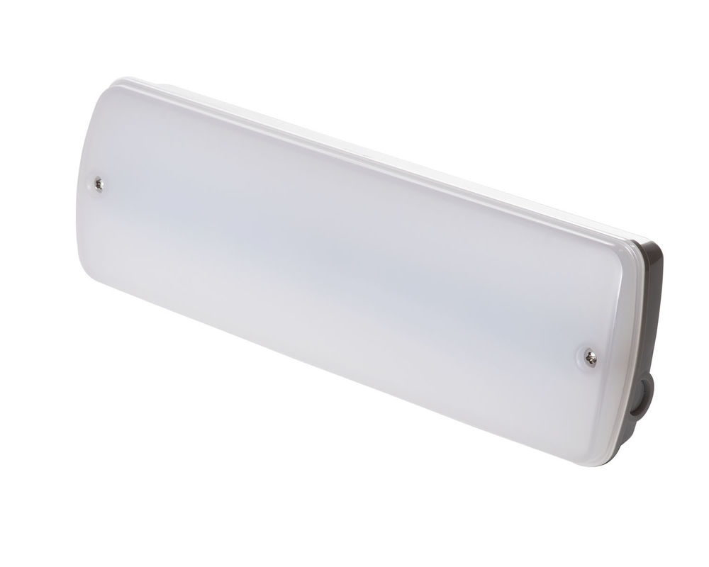 Industriële Waterdichte Noodverlichting 220V Natte Locatie Buiten met Batterij Back-up LED L121N