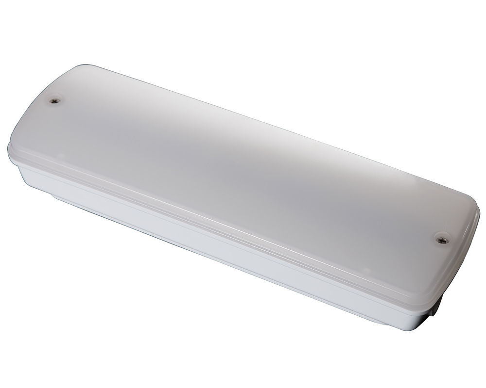 Industriële Waterdichte Noodverlichting 220V Natte Locatie Buiten met Batterij Back-up LED L121N