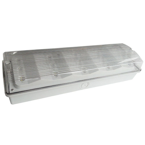 IP65 waterdicht noodlicht 3W LED 15 SMD 2835 LEDs Niet onderhouden armaturen L102M