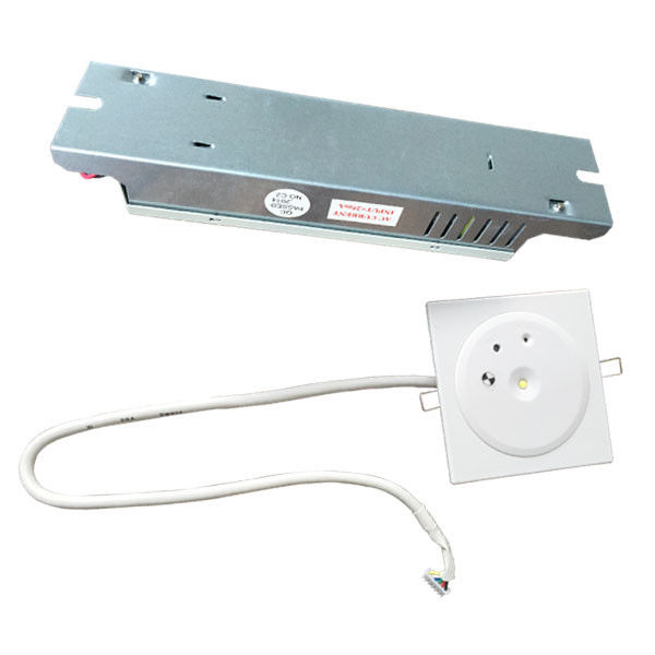 Custom IP45 Niet Onderhouden 1W LED Oplaadbaar Verzonken Noodverlichting voor Plafond met Batterijback-up PC Plaat